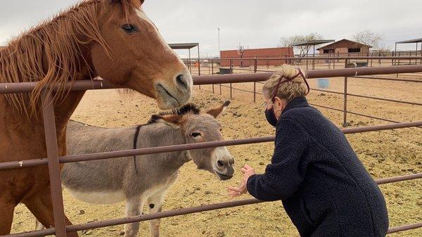 Feeding the donk.