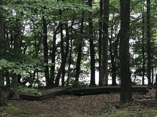 Abandoned dock on one of the trails.