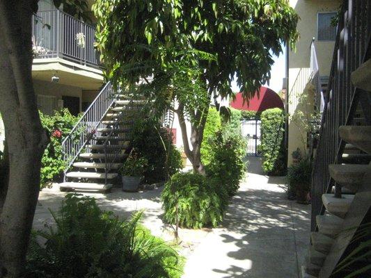 exterior courtyard looking towards front entrance