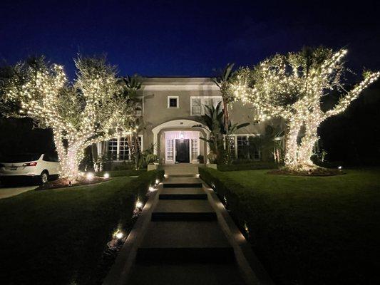 Beautiful finished product of holiday lights