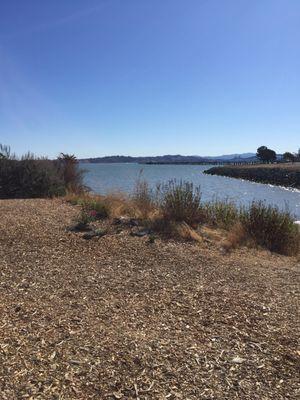 San Rafael Bay Park