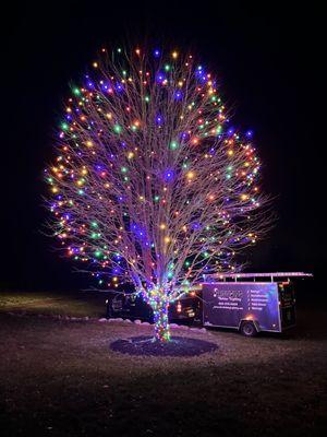 Christmas Light Installation