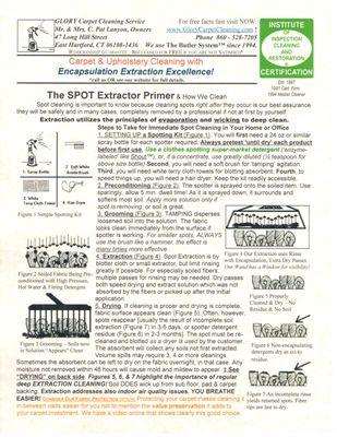 Page 1 of Our Primer for Spots Extraction Cleaning.