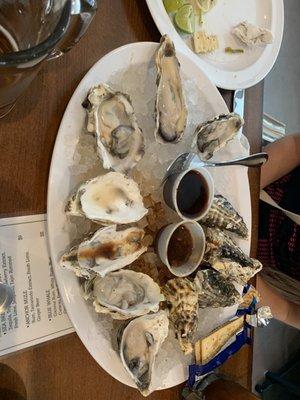 Oysters