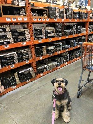 Upgrading our kitchen backsplash. My helper is picking patterns out for me.