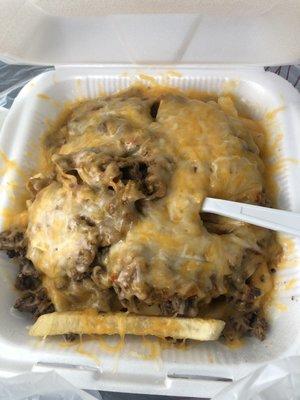 Carne asada fries. Spicy and cheesy!