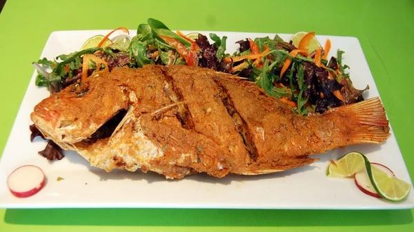 Fried Red Snapper