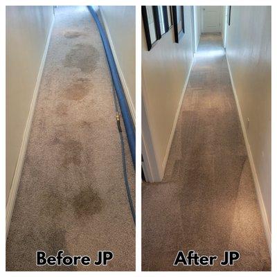 Before and After Carpet Cleaning in Encino, CA