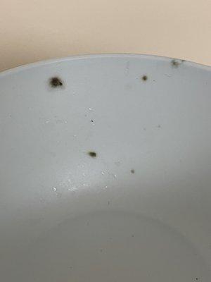 MOLD on dishes due to moisture in dishwasher.