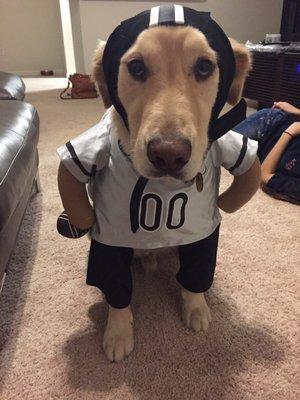 Ready for the costume pawty