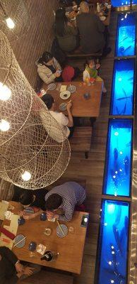 View of fish tanks from 2nd floor dining area