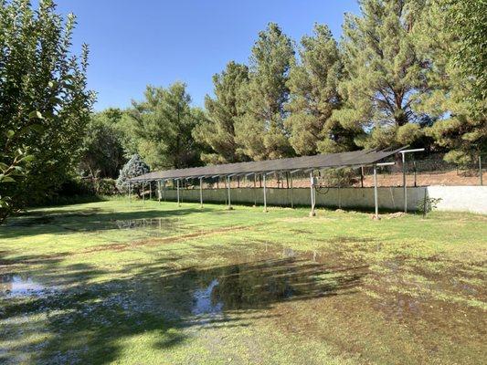 My ground mount solar panel array. Hard to tell in this photo, but the array is really big.  About 14 feet off the ground and 110 feet long.