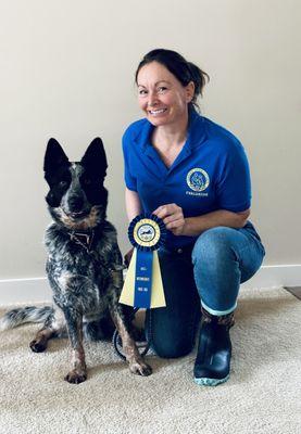 Cowboy earned his intermediate trick dog title! Trained by Ceslie Mulholland