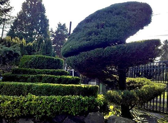 Art with bushes