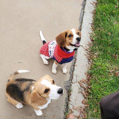 Our pup and her mom at weekend classes!