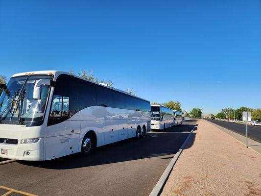 Divine Charter Bus Rentals in Tucson, AZ lining up for a large group tour.