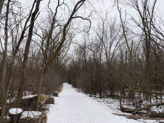 Salt Creek Greenway Trail