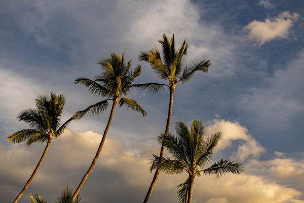 City of Lahaina