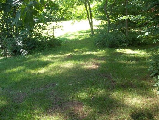 Lawn torn up by zero-turn mower and scalping