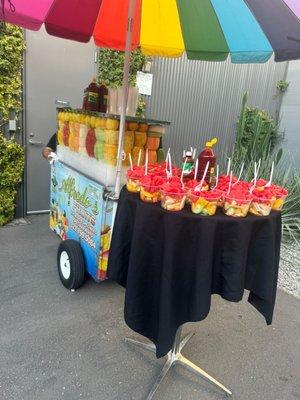 Fruit kart catering is perfect for any backyard parties.