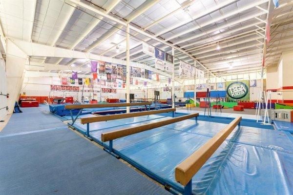 TEGA Kids gymnastics childcare camps swim lessons special events