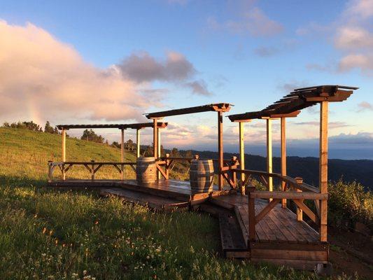 Lago Lomita Vineyards