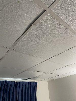 Unsecured ceiling tiles (maybe where the flies are coming from)