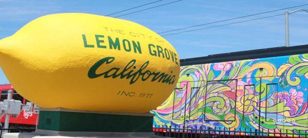 Serving Lemon Grove and San Diego since 1986!