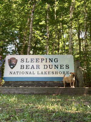 My dog in front of the National Park sign.