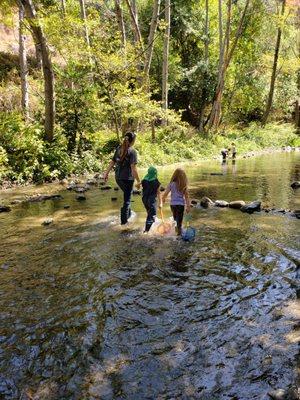 Los Gatos-Saratoga Observation Nursery School