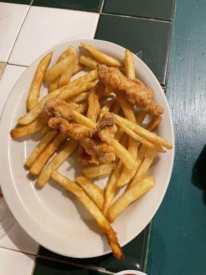 Kids Chicken Tenders