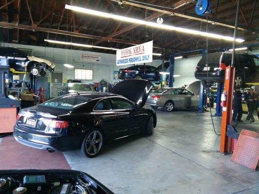 Audi, BMW, VW, Mercedes, even Jaguar! Jose and his team are truly Masters of All!