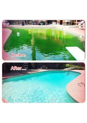 We shocked this pool and cleaned the filter!