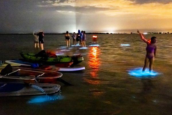 Splash around in the glowy water on Horseshoe Crab Island.