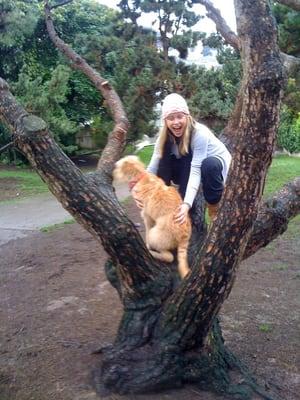 Daisy climbs trees....so does Janice.