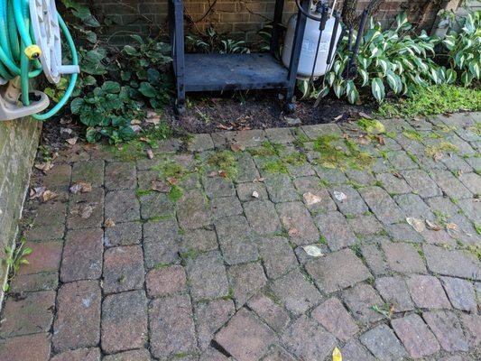 before - paver patio with moss, weeds and lots of dirt