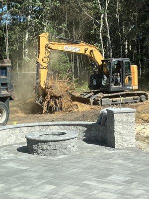 Completely removing large buried tree stumps