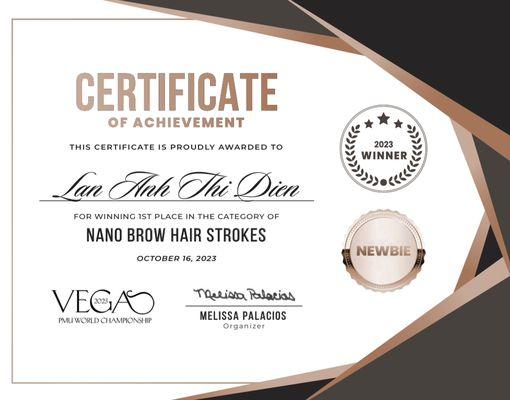 I won first place for nano hairstrokes technique in Vegas PMU World championship