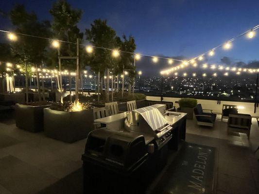 Gorgeous Rooftop with BBQs, fireplaces, and couch seating.