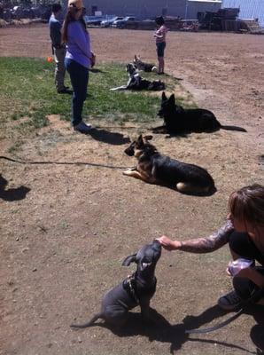 Beginner Group Class