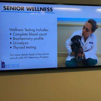 Come on in and check out our senior wellness program