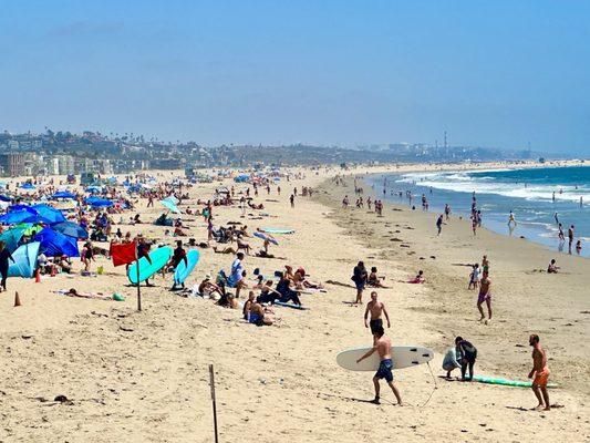 Scenery | Venice Beach