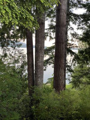 View from screened in porch