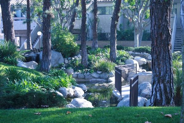 Creek Area / Koi Pond