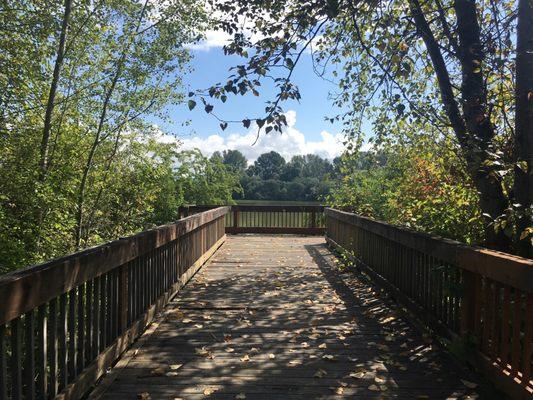 The overlook near the northwest entrance provides a good view of the pond and its pollution.