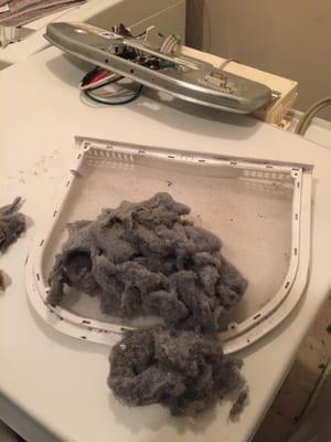 Photo of lint I pulled after woodland appliance repair said they cleaned