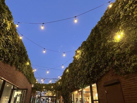 Outdoor area between the two indoor areas