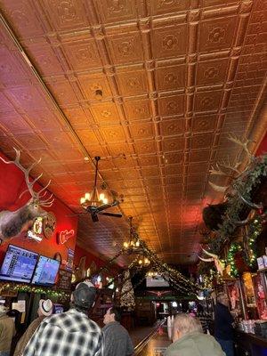 beautiful copper Ceiling- with some of the locals- watching the horses