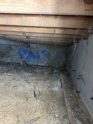 Crawlspace mold mitigation in Milwaukee