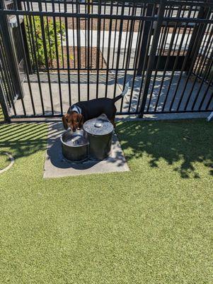 Water is available.but I bring my own bowl for my dogs.I personally don't trust letting my dogs drink from communal bowls